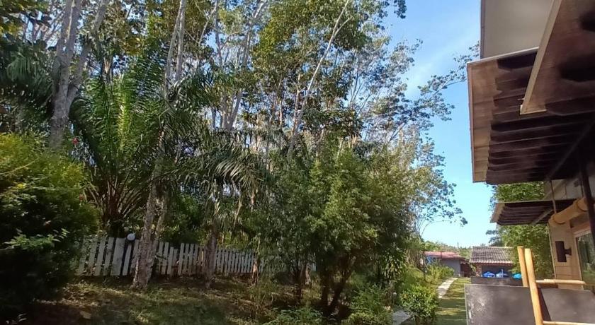 415208407.jpg