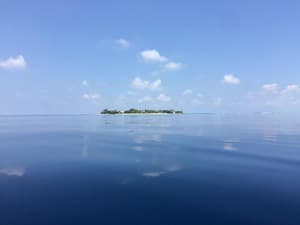 thumbnail: General view