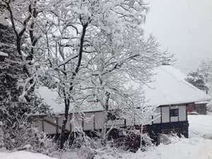 thumbnail: Front of property