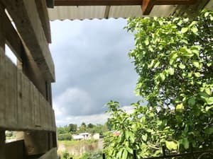thumbnail: View from room