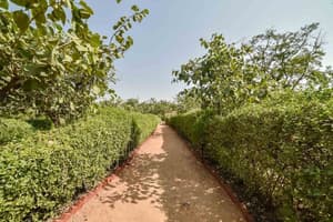 thumbnail: Garden