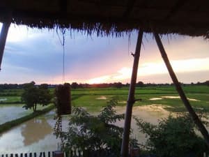 thumbnail: View from property