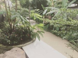 thumbnail: Property grounds