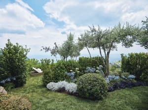 thumbnail: Garden