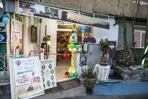 thumbnail: General view
