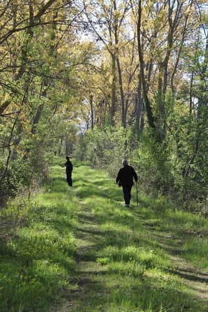 thumbnail: Hiking
