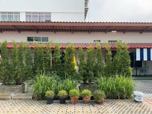 thumbnail: Courtyard