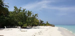 thumbnail: Beach