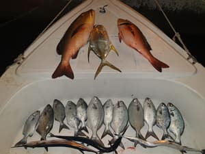 thumbnail: Fishing