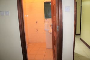 thumbnail: Bathroom shower