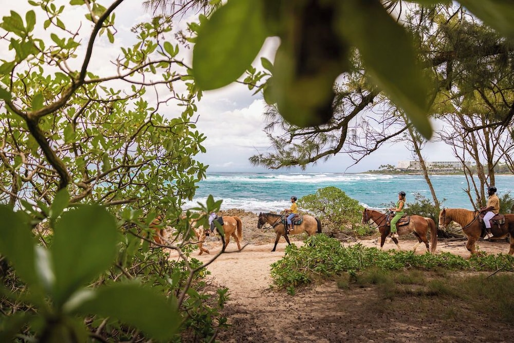 Horseback riding
