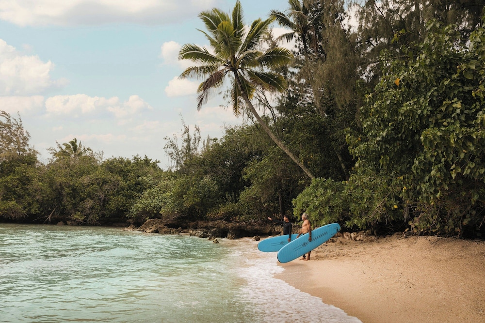 Surfing/boogie boarding