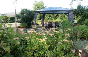 thumbnail: Terrace/patio