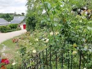 thumbnail: Property grounds