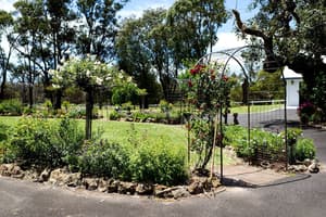 thumbnail: Garden