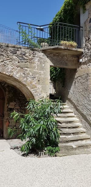 thumbnail: Terrace/patio