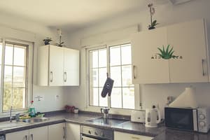 thumbnail: Shared kitchen