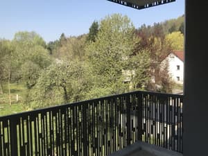 thumbnail: Garden view
