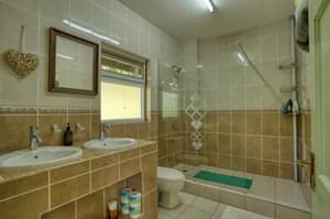 thumbnail: 556964747.jpg