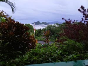 thumbnail: 482276001.jpg