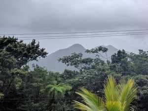 thumbnail: 194605219.jpg