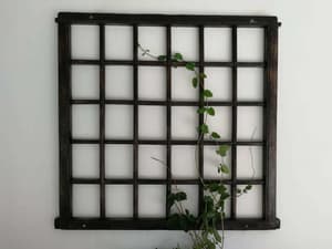 thumbnail: Courtyard