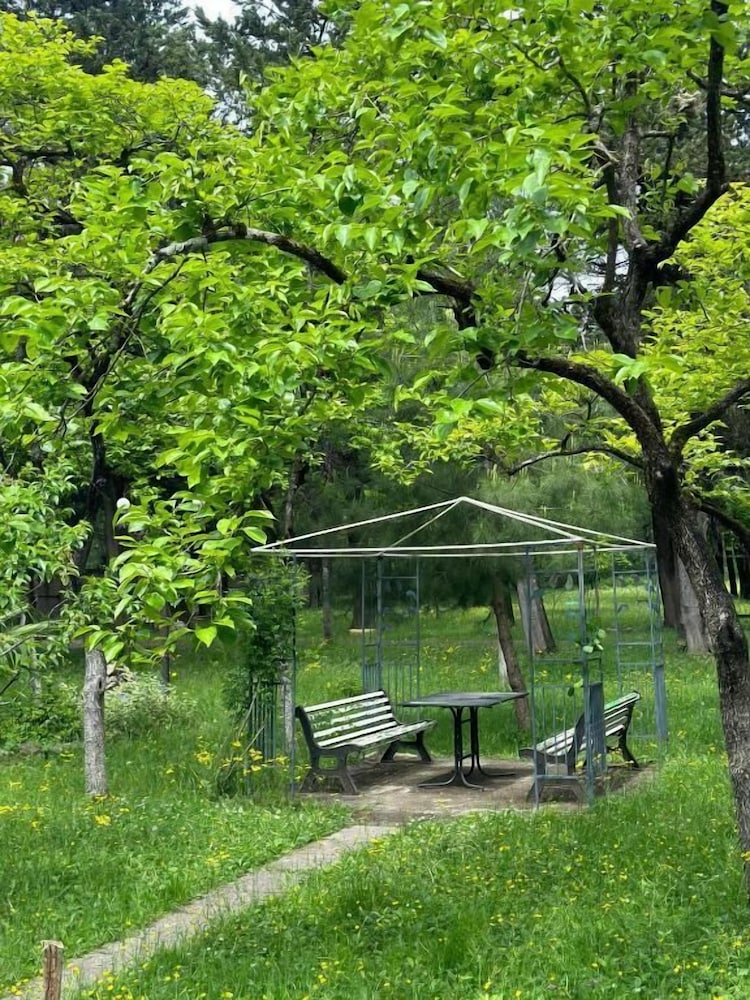BBQ/picnic area