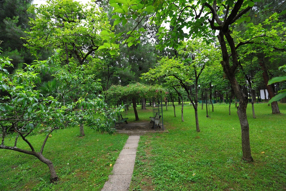 Park view