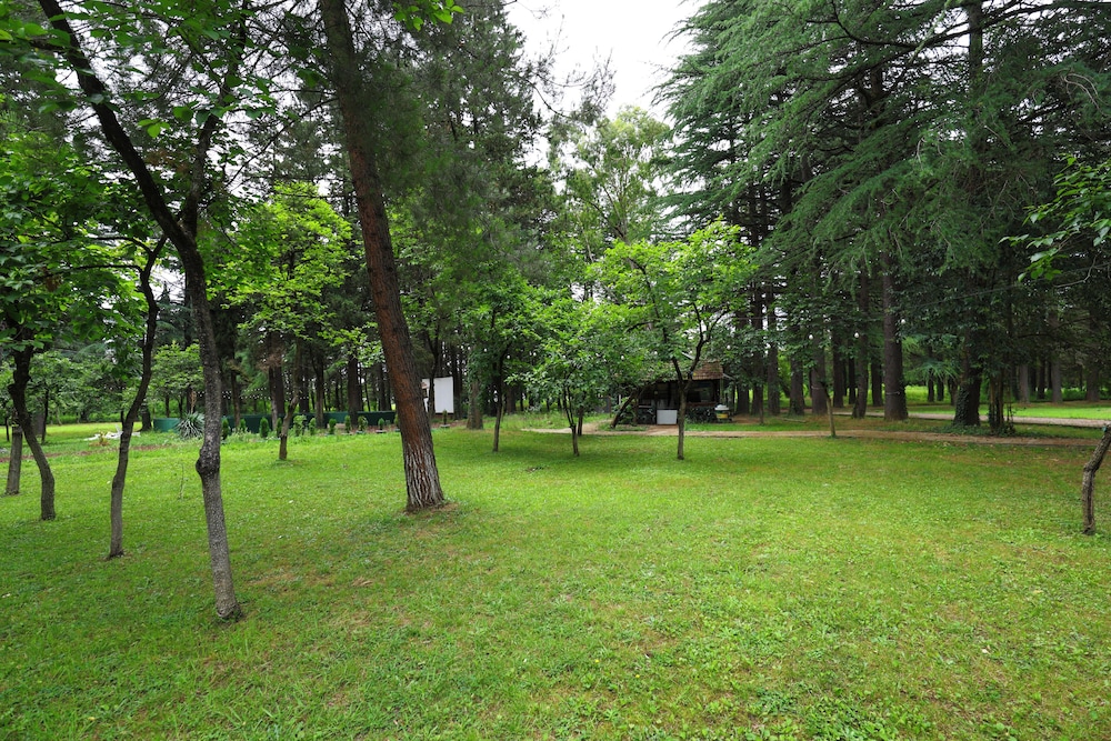 Park view