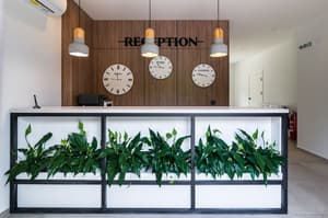 thumbnail: Reception