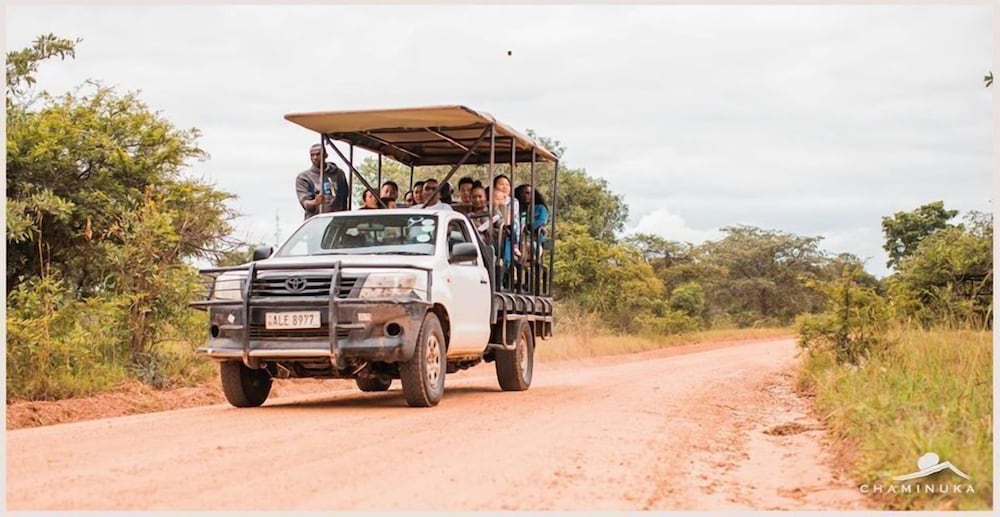 Game drive