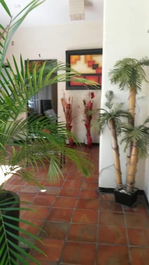 thumbnail: Interior