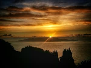thumbnail: General view