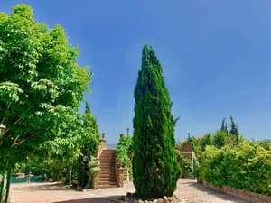 thumbnail: Exterior