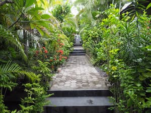 thumbnail: Garden view