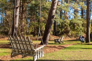 thumbnail: BBQ/picnic area