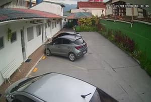 thumbnail: 803253192.jpg