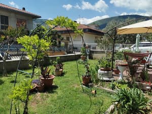thumbnail: Garden