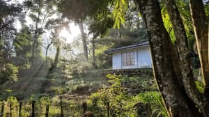 thumbnail: Garden