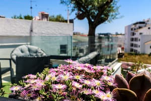 thumbnail: Terrace/patio