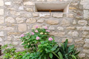 thumbnail: Terrace/patio