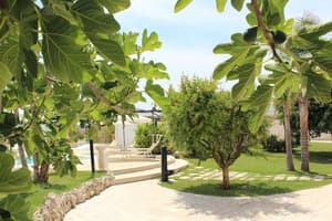 thumbnail: Garden