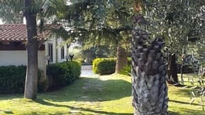thumbnail: Garden