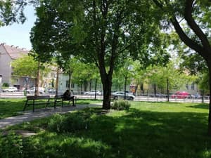 thumbnail: Garden