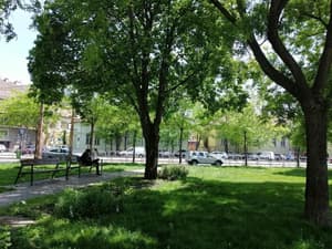 thumbnail: Property grounds