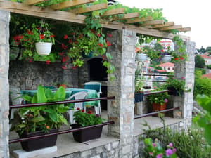 thumbnail: Terrace/patio
