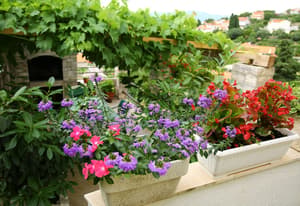thumbnail: Courtyard