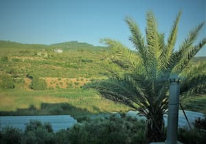 thumbnail: Land view from property