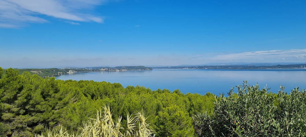 Lake view