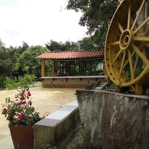 thumbnail: Property grounds